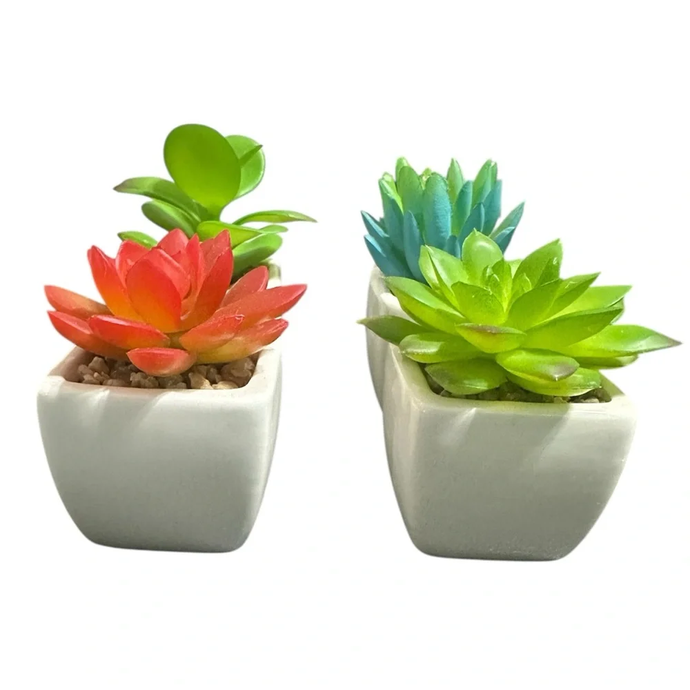 Set of 4 Faux Succulent Plants in White Ceramic Pots